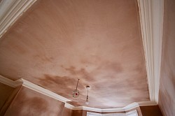 Plastered ceiling ready for painting